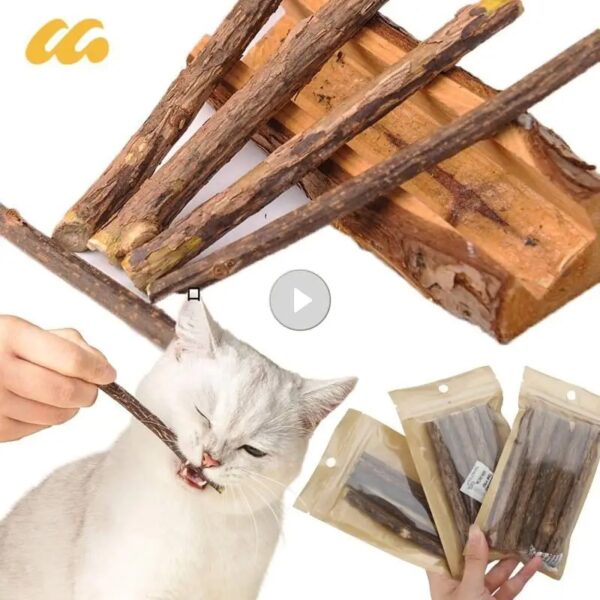 5/25/50PCS Natural Matatabi Cat Stick Mint Caught Bite Excited Rods Silvervine For Cat Teeth Cleaning Treating Pet Cat Products